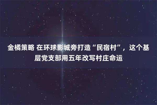 金橘策略 在环球影城旁打造“民宿村”，这个基层党支部用五年改写村庄命运